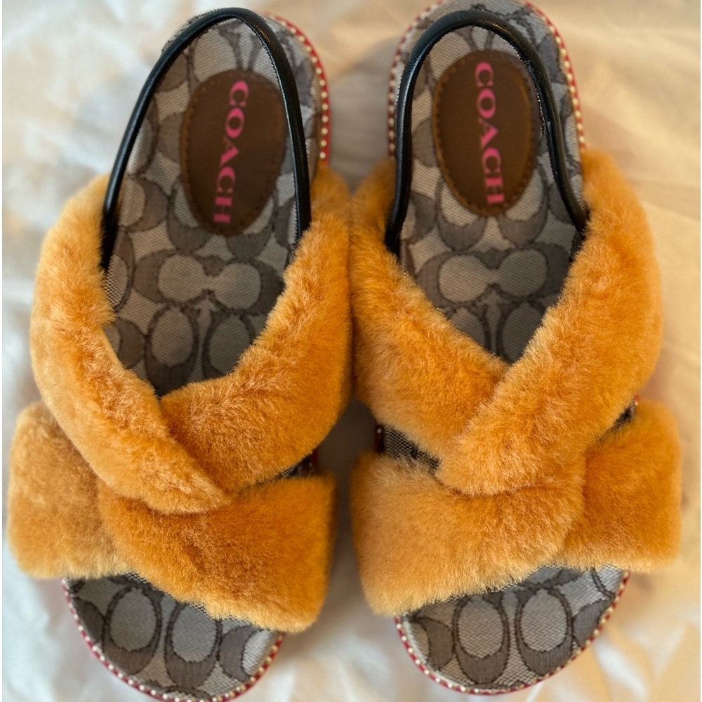 COPY - Coach Tally Sandal C5885